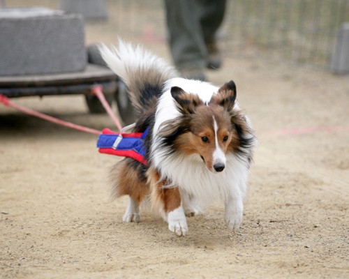 UKC Events UKC Events